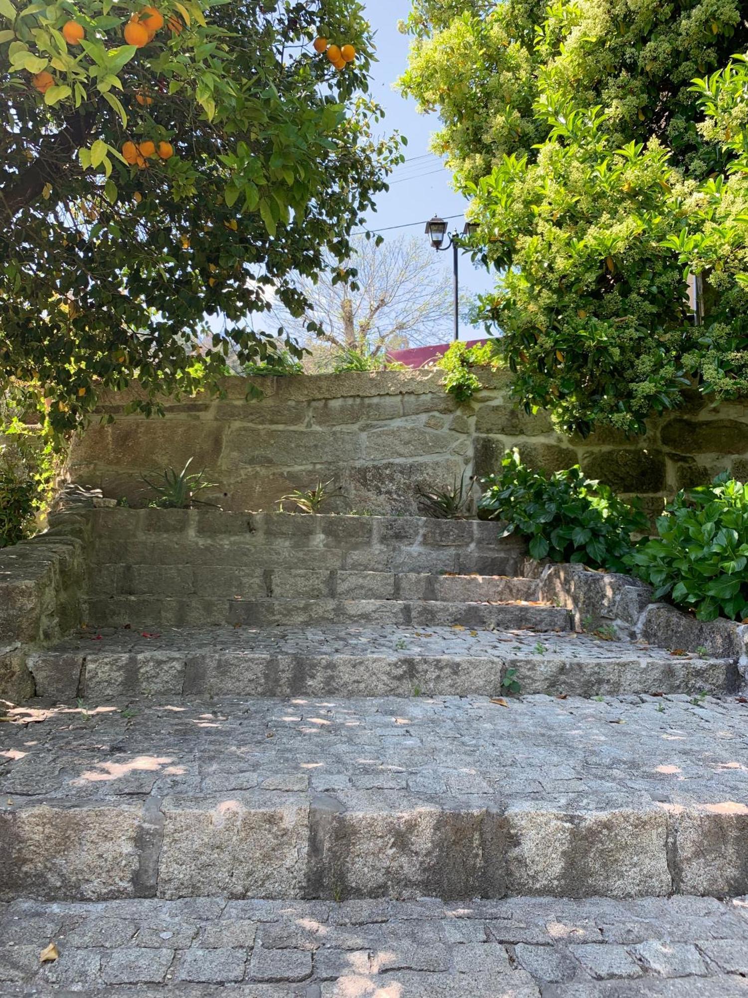 Quinta De Canhoes Sao Pedro do Sul Exterior photo