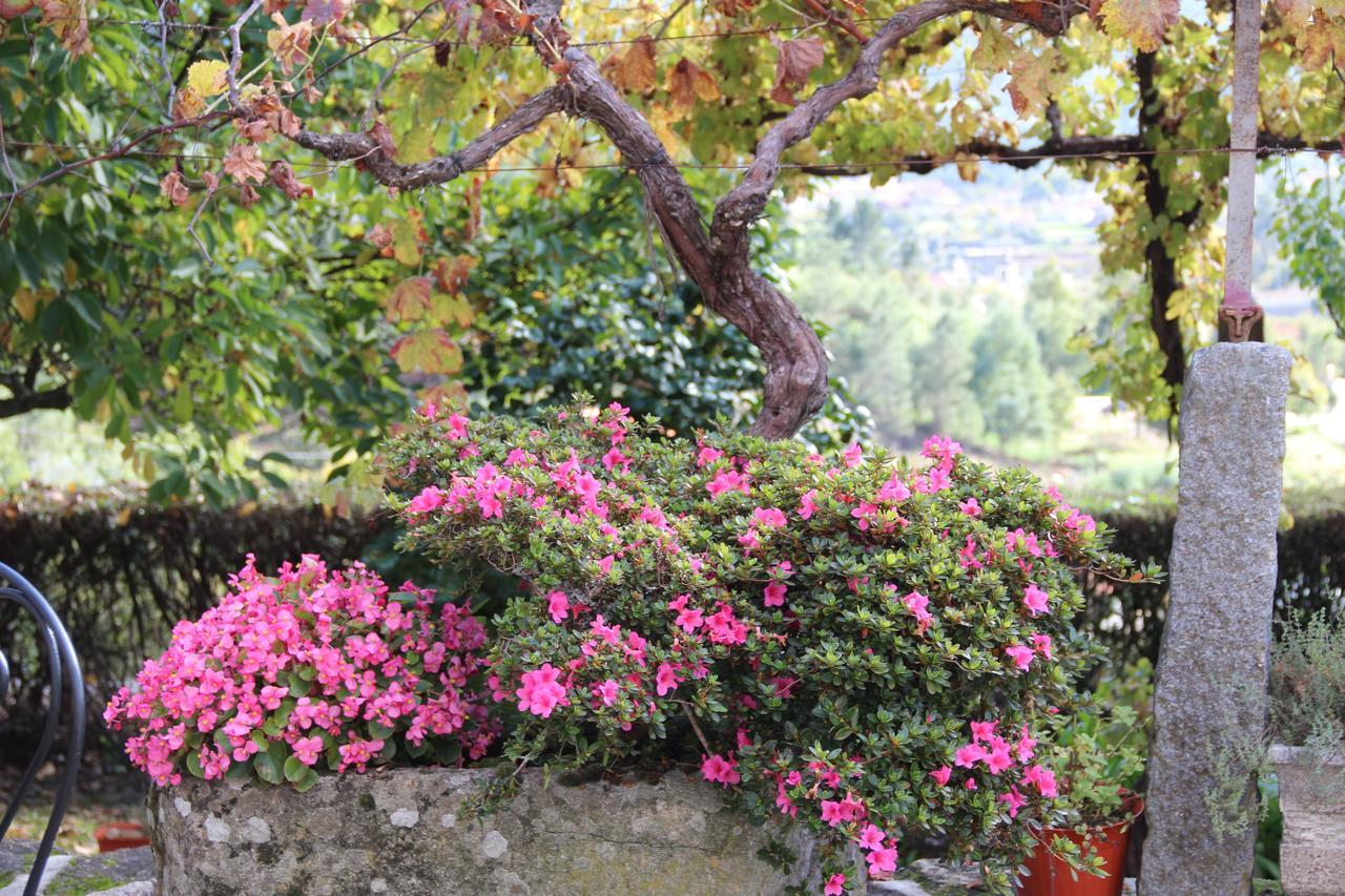 Quinta De Canhoes Sao Pedro do Sul Exterior photo